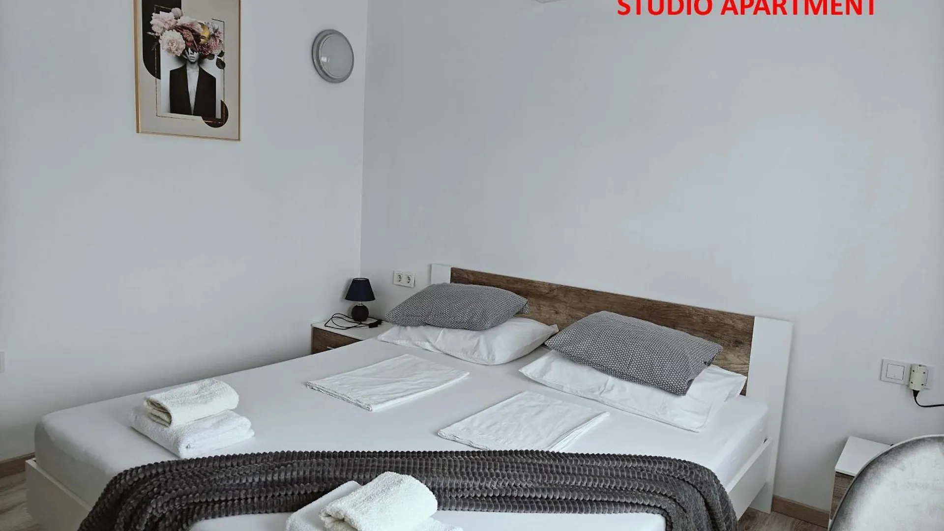 Apartments Miraflor, City Center ツリクヴェニツァ